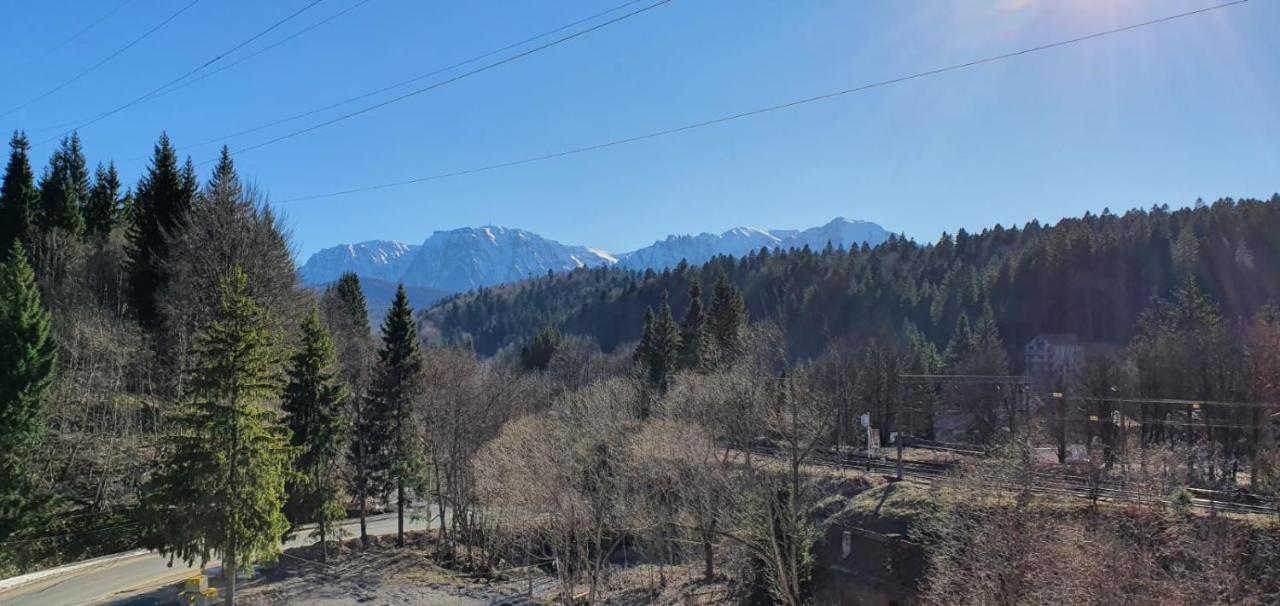 Pensiunea Alpin Predeal Esterno foto