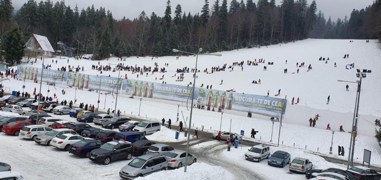 Pensiunea Alpin Predeal Esterno foto